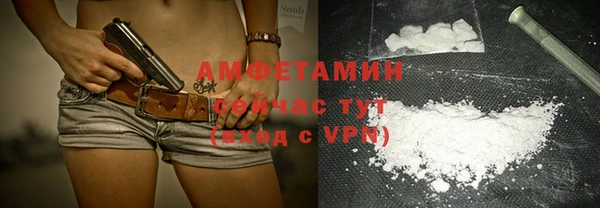 стаф Козловка