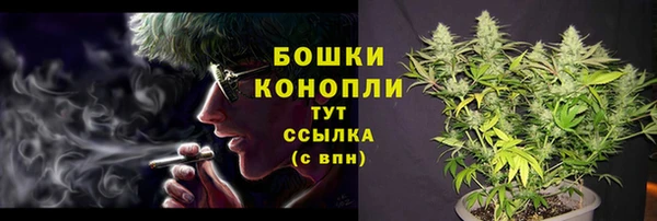 стаф Козловка