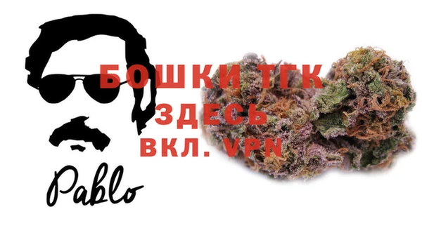 стаф Козловка