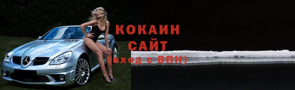 стаф Козловка