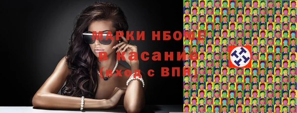 стаф Козловка