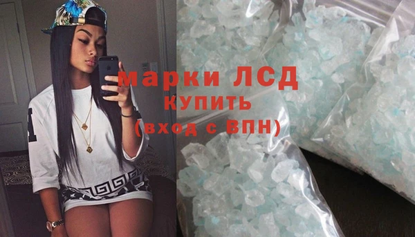 стаф Козловка